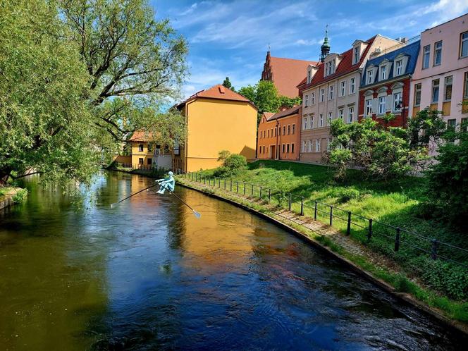 Zachwycające rzeźby Jerzego Kędziory balansują nad miastem. W Bydgoszczy trwa niecodzienna wystawa