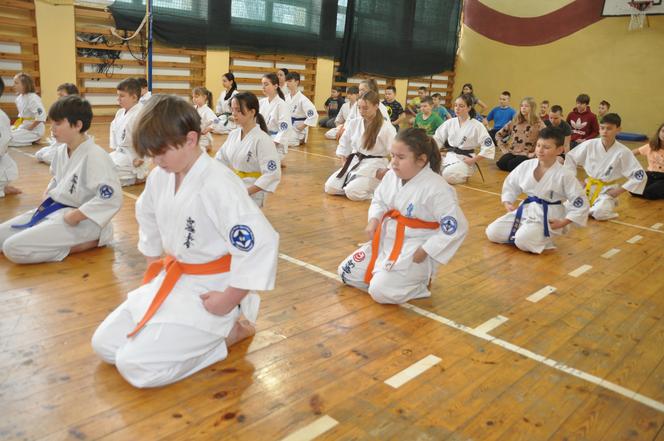 Akademia Karate w Skarżysku. Certyfikaty na wyższe stopnie dla wychowanków klubu