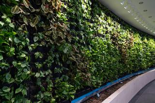 Fabryka Wody w Szczecinie przed otwarciem