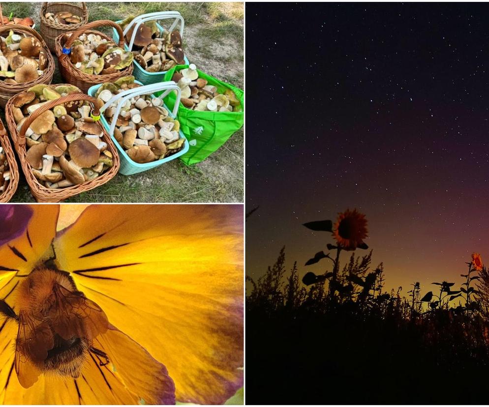 Światowy Dzień Fotografii. Z tych fotek są dumni nasi Czytelnicy! ZOBACZ