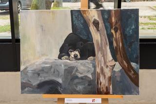 Wyjątkowy wernisaż w łódzkim Orientarium. Uczniowie stworzyli blisko 150 prac