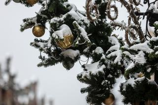 Śnieg i mróz na Boże Narodzenie 2022! Synoptycy mówią o białych świętach [PROGNOZA]