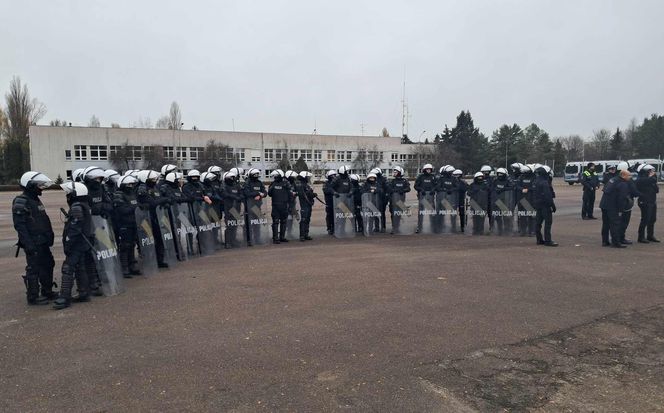 Atestacja koni służących w łódzkiej policji i straży miejskiej