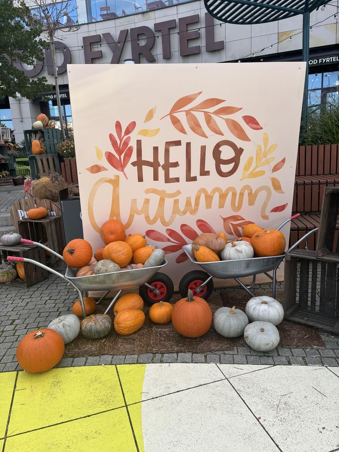 Zobacz, jak poznańskie świętują Halloween