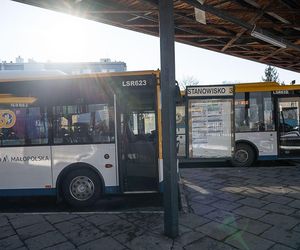 Autobusowa sieć coraz gęstsza. Nowe połączenia w Małopolsce