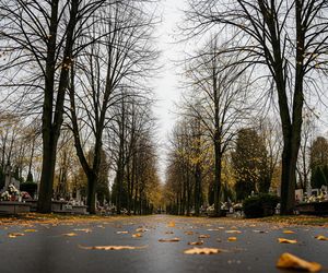 Pogoda na Wszystkich Świętych 2025 Dolny Śląsk. IMGW ma pierwsze eksperymentalne prognozy?