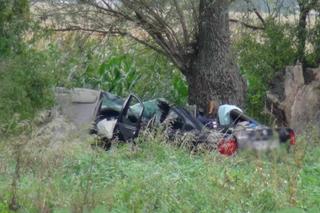 Auto pełne młodych ludzie roztrzaskane na drzewie. 21-letnia pasażerka nie żyje