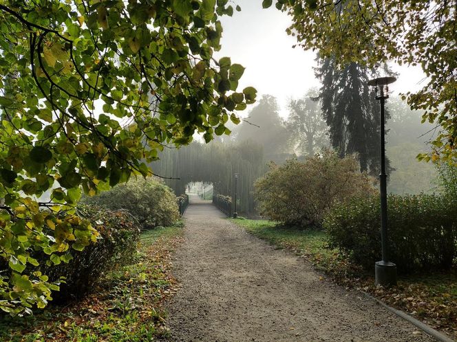 Zamojski Park jesienią