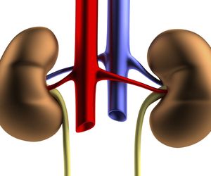 Przeszczep krzyżowy nerek – na czym polega? Kto może być dawcą?