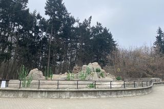 Instalacja artystyczna na dawnym wybiegu niedźwiedzi