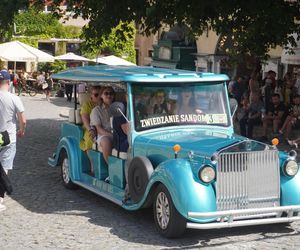 Rynek w Sandomierzu