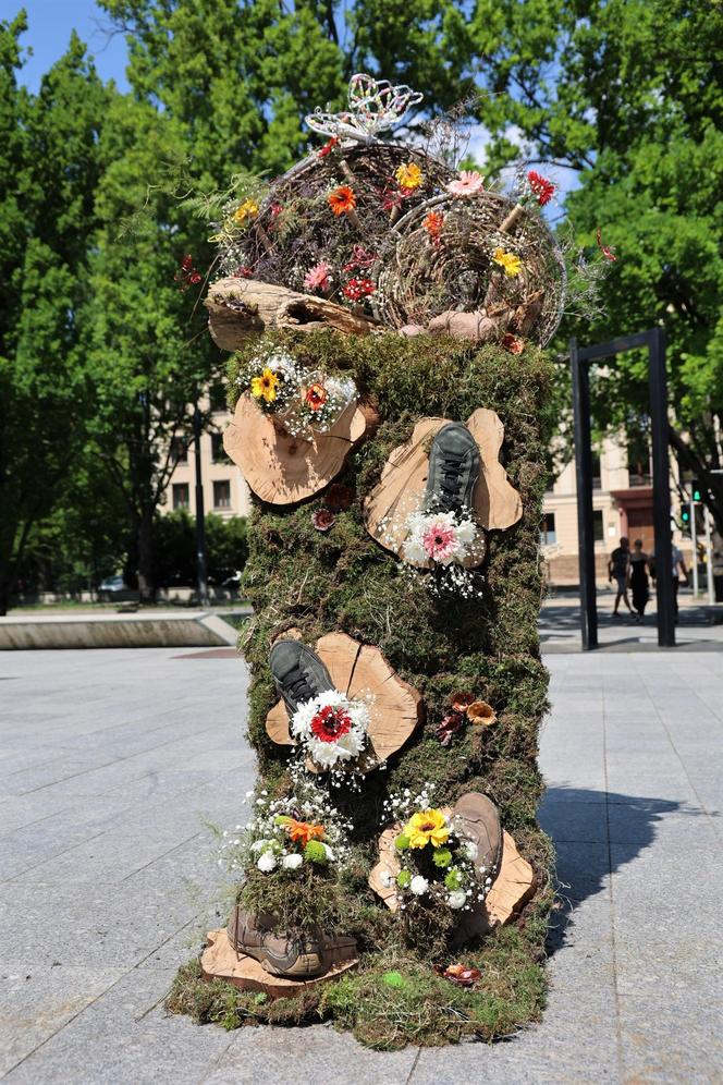 Weekend z florystyką w Lublinie. Zobacz imponujące roślinne instalacje w centrum miasta!