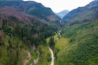 Najlepsze miejsca na jednodniową wycieczkę w Małopolsce według AI. Tam warto pojechać w wakacje 