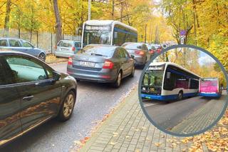 Zakazy zatrzymywania się, zakaz wjazdu i dodatkowe parkingi. Tak przygotowano gdańskie ulice na Wszystkich Świętych