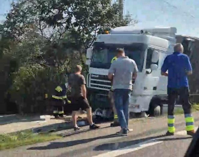  Kierowcę ciężarówki użądliła pszczoła, uderzył w przepust.