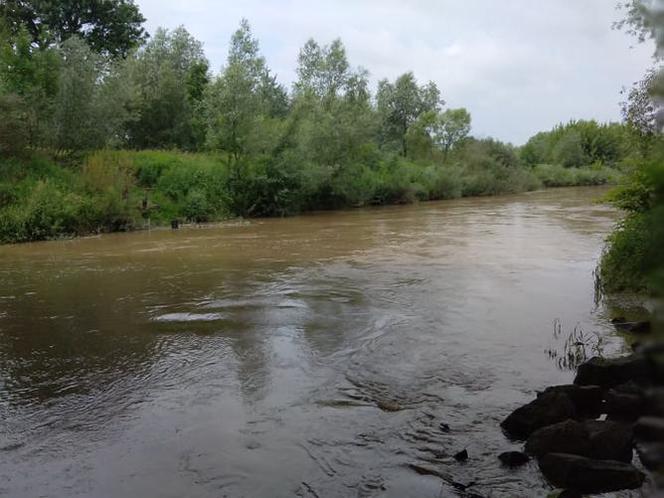 Sytuacja hydrologiczna w Tarnowie. Czy grozi nam powódź?