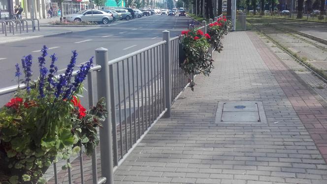 Kwietniki na przystanku tramwajowym na pl. Żołnierza