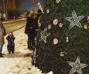 Dzielnicowe choinki w Gdańsku już świecą