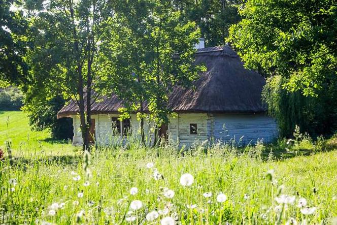 Skansen w Tokarni znów otwarty! 65 hektarów do spacerów, także z czworonogami