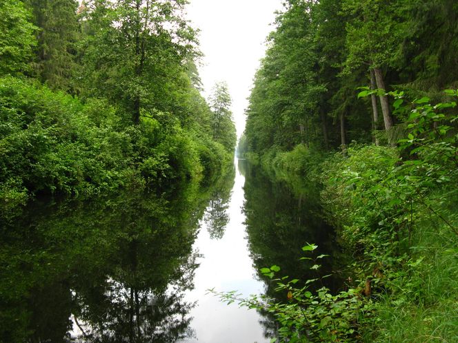 Najlepsze trasy wodne w Podlaskiem na letni weekend