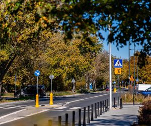 Park linearny na Bielanach w Warszawie