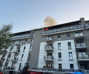 Pożar przy ul. Krańcowej w Poznaniu. Strażacy: To była trudna noc [ZDJĘCIA]