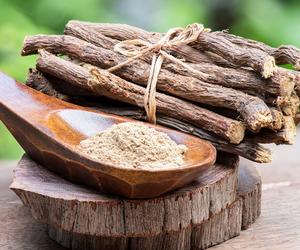 Lukrecja: co to za roślina? Czy może zastąpić cukier? Poznaj właściwości korzenia lukrecji