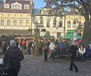 33. finał Wielkiej Orkiestry Świątecznej Pomocy w Rzeszowie