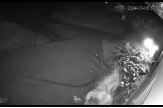 29-latek próbował zabić pięć osób! Nagranie mrozi krew w żyłach