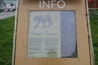 Świąteczne dekoracje w Krakowie