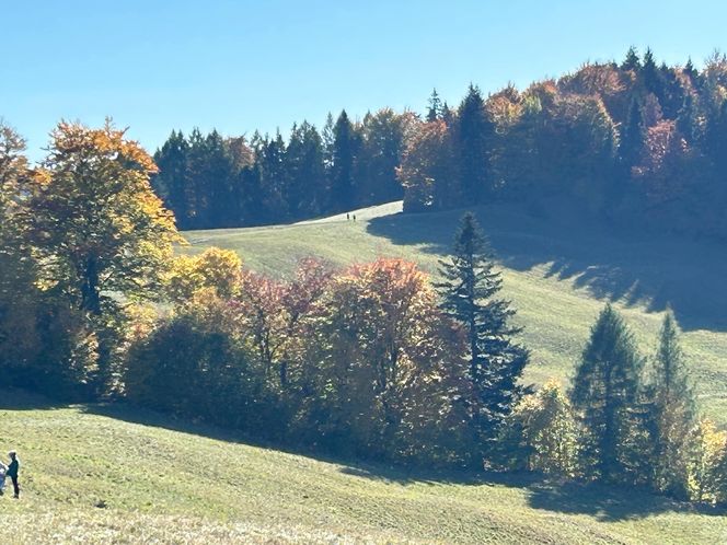 Małopolskie pasmo górskie zachwyca jesiennym pięknem. Ukryta perełka z widokiem na tatry 