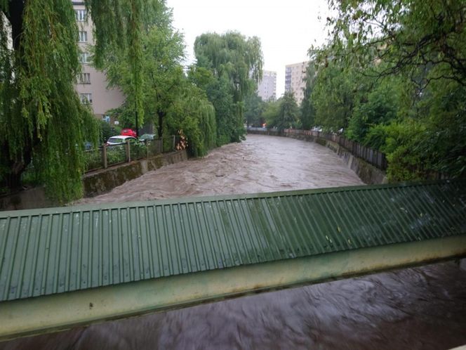 Powódź w Bielsku-Białej. Ulice zamienił się w rzeki. Zalane auta i posesje 