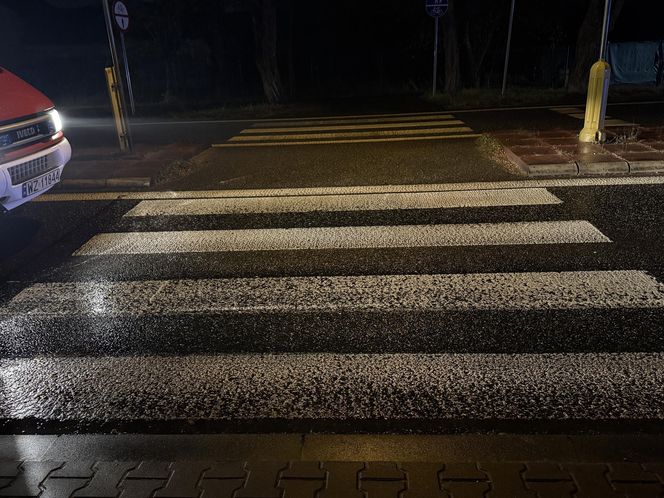 Tragedia na DK92. Kierowca potrącił młodą dziewczynę i uciekł. Trwają poszukiwania ciemnego auta