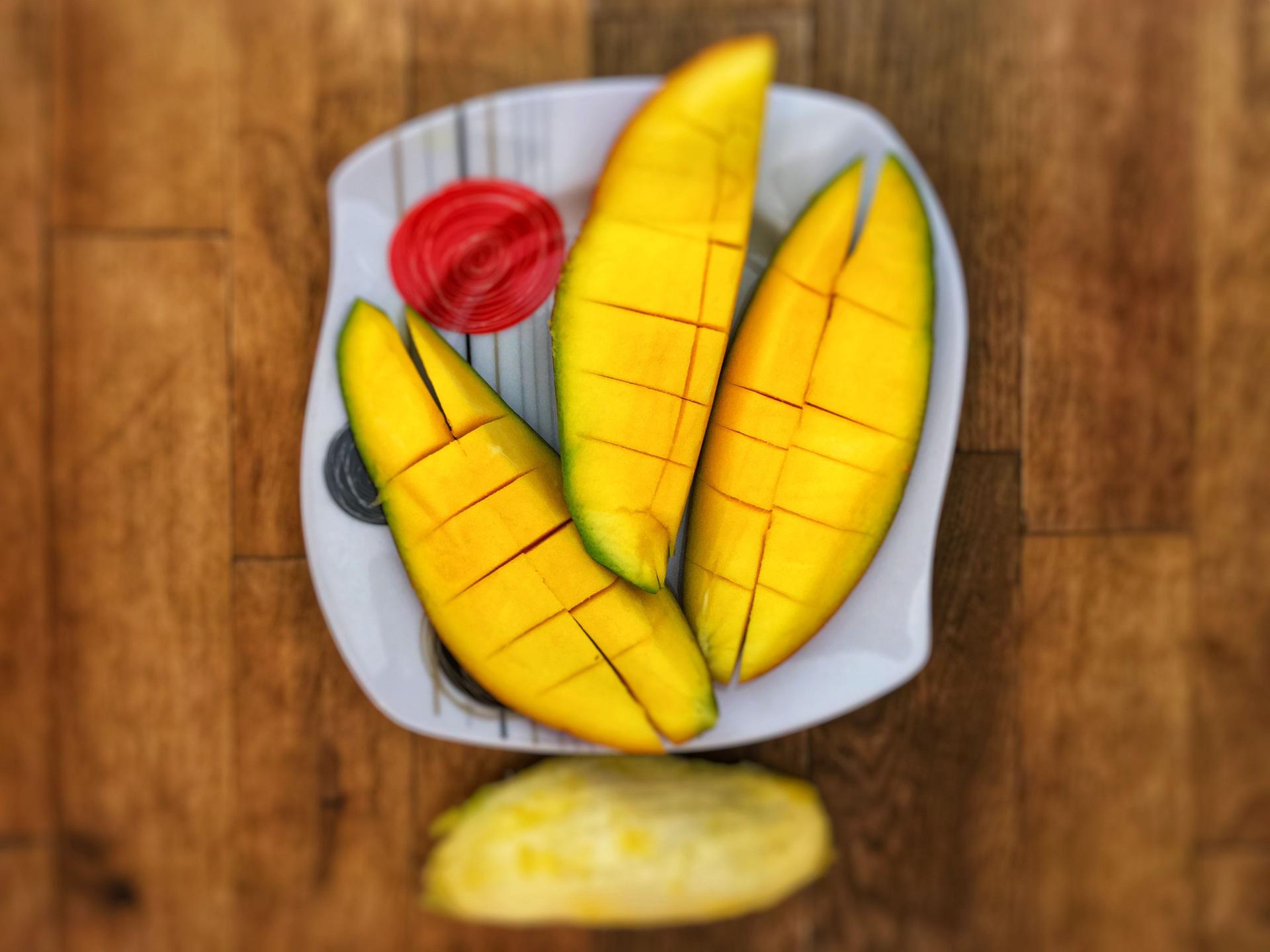 Mango z pestki hodowla krok po kroku murator.pl