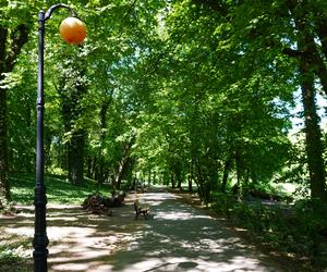 Park Sołacki w maju 2024