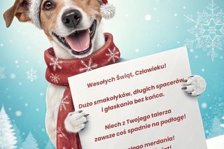 Kartki świąteczne na Boże Narodzenie