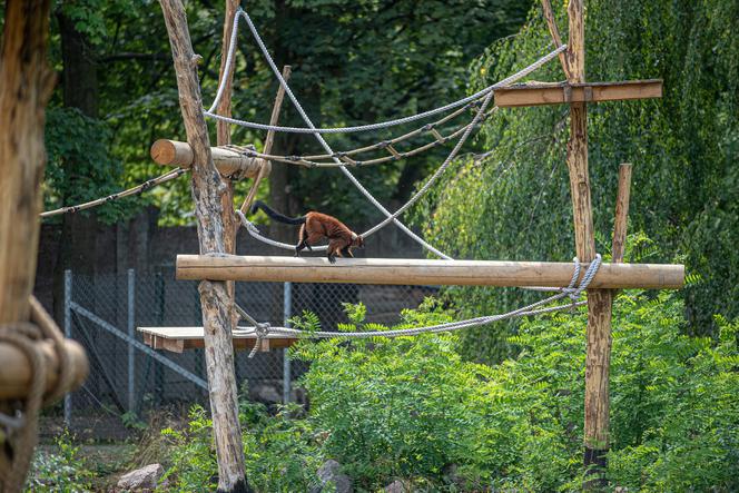 Teściowa pogodziła się z zięciem