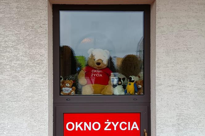 Okno Życia w Płońsku