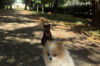 Daisy Najman, pies Marcina Najmana