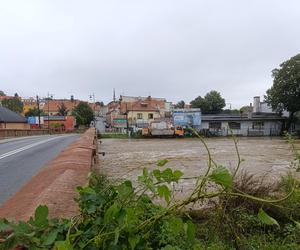 Ząbkowice Śląskie (woj. dolnośląskie)