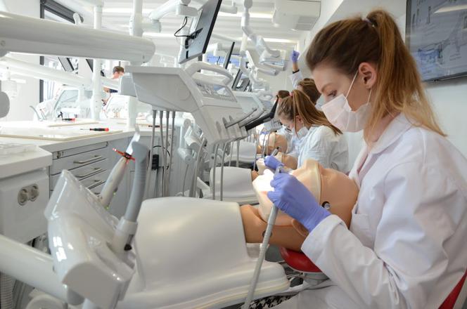 Lalki uczą studentów na lekarzy