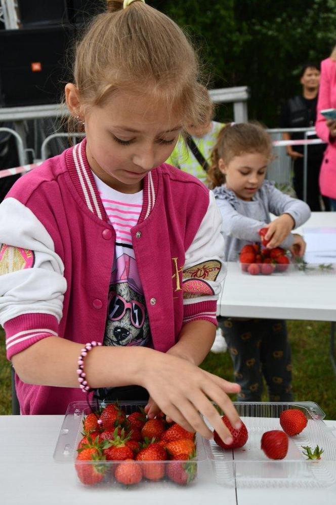 Dzień Świętokrzyskiej Truskawki w gminie Bieliny