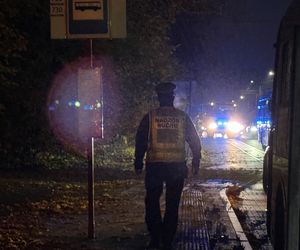 Wiązowna. Zderzenie autobusu z sarną 