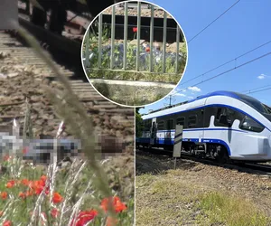 Tragedia przy moście Gdańskim! Pieszy wpadł pod pociąg, nie było szans na ratunek