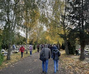 Wszystkich Świętych 2023 Cmentarz Centralny Szczecin 