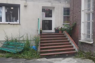 Kocia kawiarnia w Olsztynie się zamyka. Jaki los czeka koty? [ZDJĘCIA]