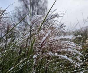 Pierwszy śnieg na Podkarpaciu