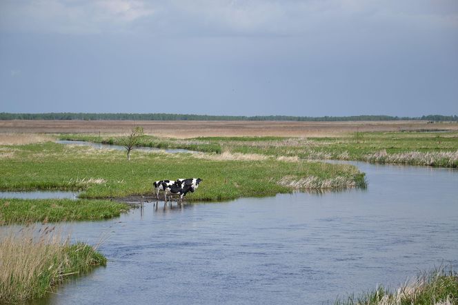 Najlepsze trasy wodne w Podlaskiem na letni weekend