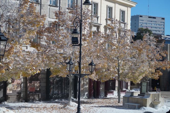 Gwiazdy marzną na planie "Lalki"