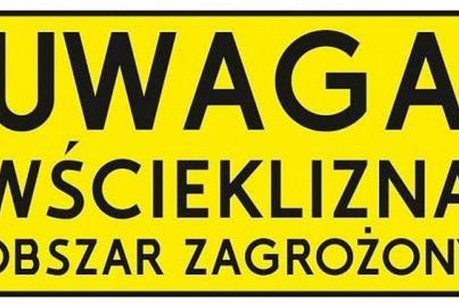 Wścieklizna w Strzyżewicach! Na terenie jednej z posesji znaleziono zakażonego nietoperza
